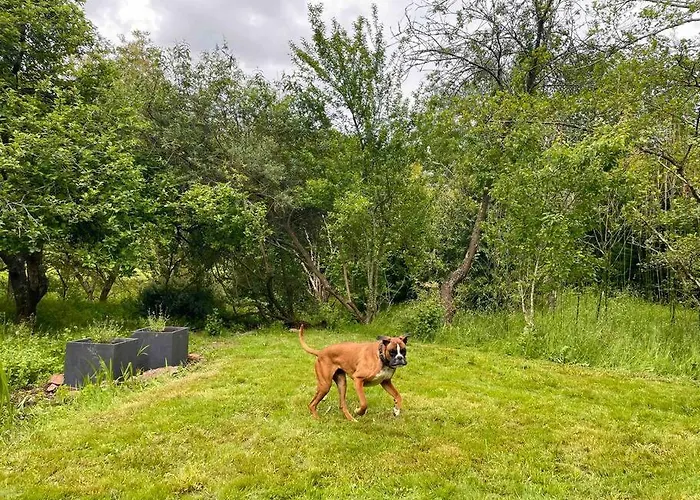 Ferienhaus Caserio El Ronzon *