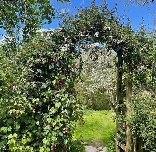 Caserio El Ronzon Ferienhaus *