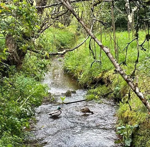 Ferienhaus Caserio El Ronzon *