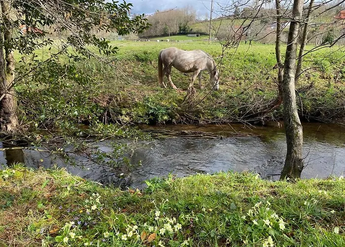 Caserio El Ronzon Ferienhaus *