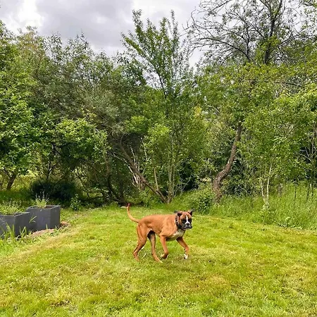 別荘 Caserio El Ronzon *