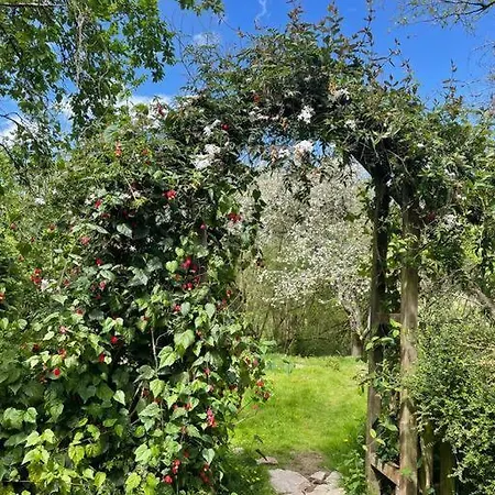 Caserio El Ronzon 別荘 *