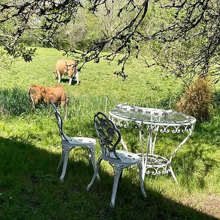 別荘 Caserio El Ronzon